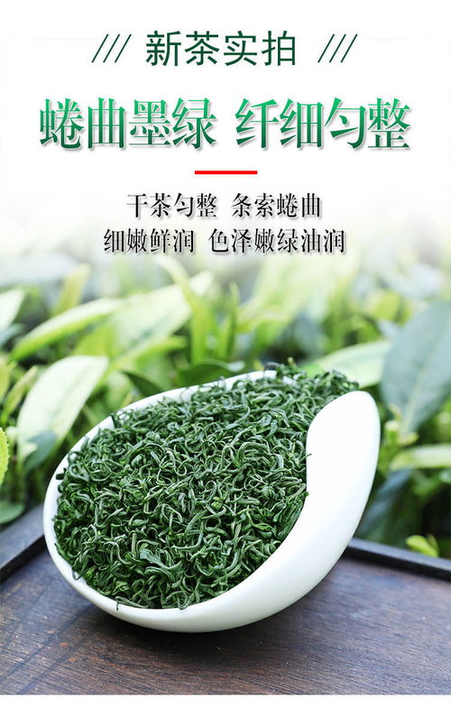 日照充足，高山云雾间品味春意 2020新茶炒青茶品鉴